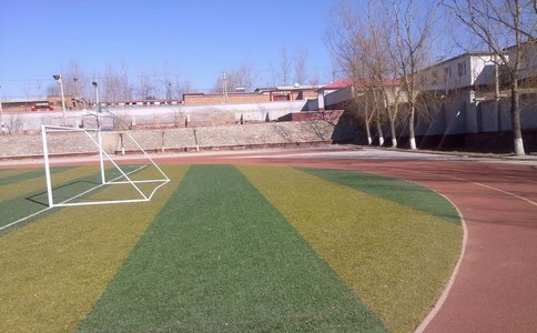 關(guān)于塑膠跑道運(yùn)動(dòng)場地你不知道的那些事