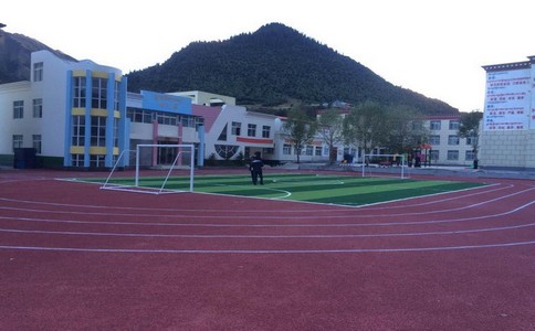 不同的塑膠跑道它的差異是什么，如何去選擇使